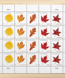 2025 Vibrant Leavea Postcard (For Postcard Only)