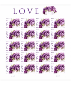 2010 Love-Purple Orchid in Snow