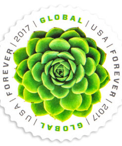2017 Global Green Succulent