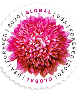 2020 Global Chrysanthemum International