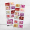 2025 Dahlias