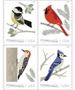 2018 Birds in Winter